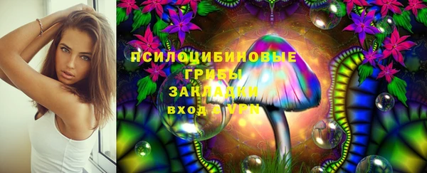 прущий лед Алексин