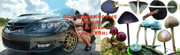 прущий лед Алексин