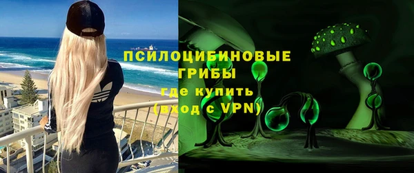 прущий лед Алексин