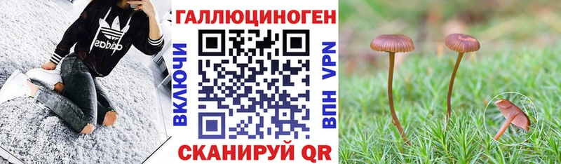 наркота  Алексин  Галлюциногенные грибы мицелий 